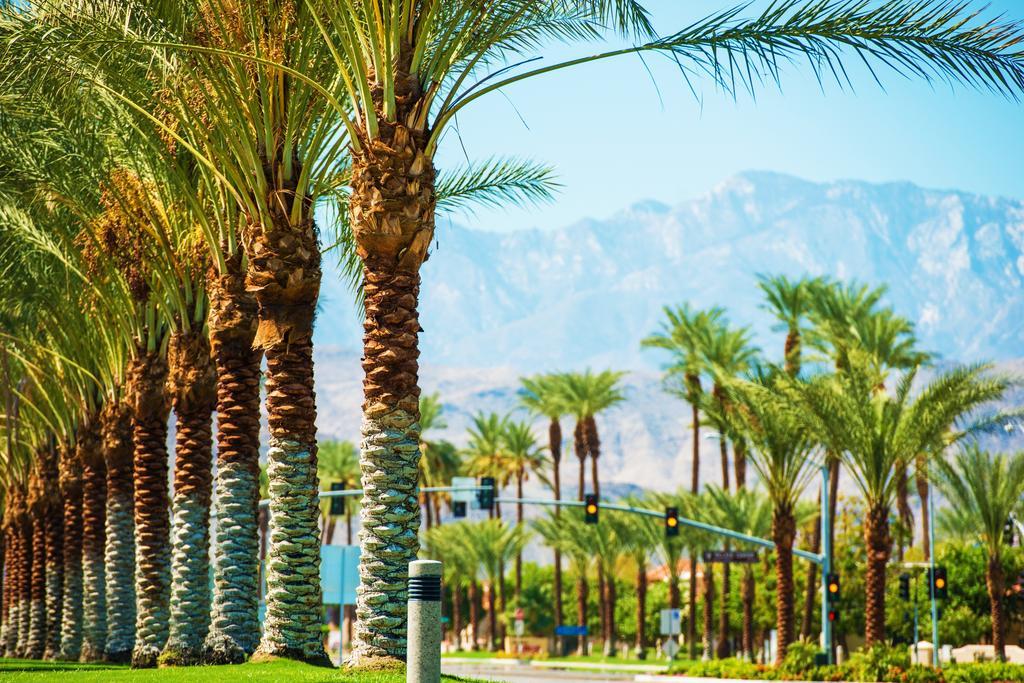 Raintree'S Cimarron Golf Resort Palm Springs Cathedral City Eksteriør billede