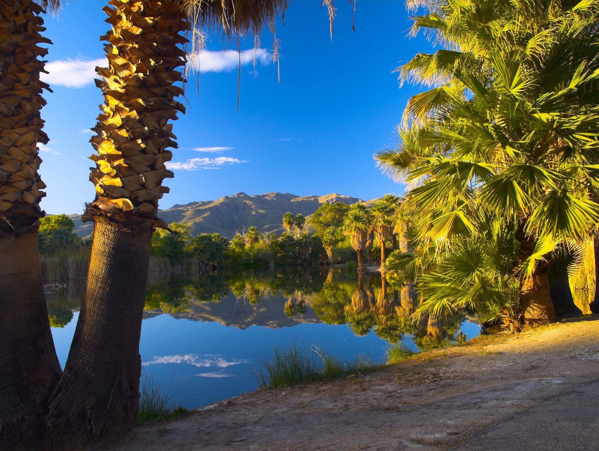 Raintree'S Cimarron Golf Resort Palm Springs Cathedral City Eksteriør billede