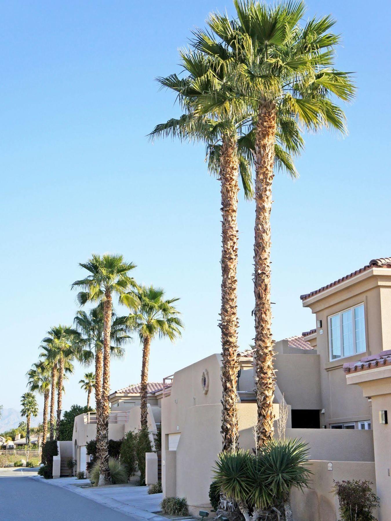 Raintree'S Cimarron Golf Resort Palm Springs Cathedral City Eksteriør billede